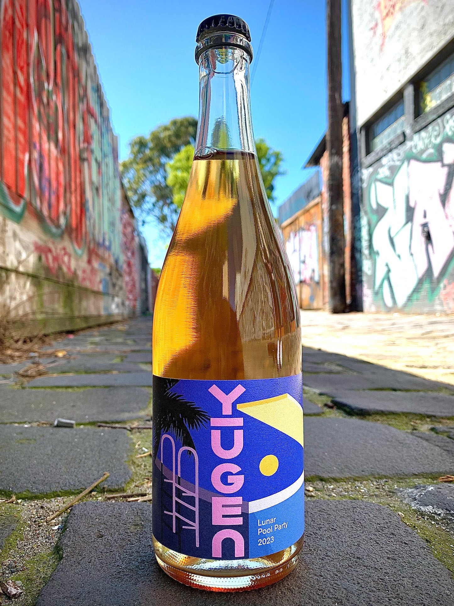 2023 Lunar Pool Party