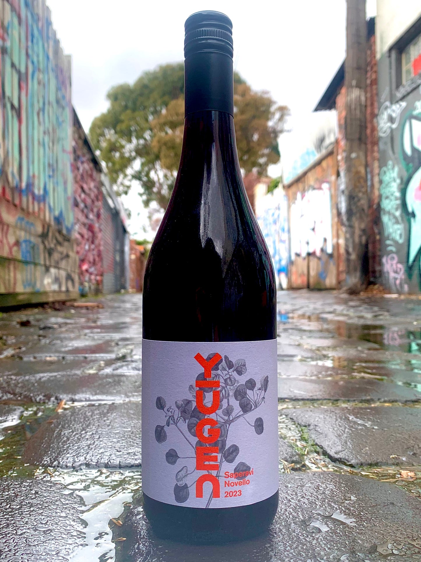 2023 Saperavi Novello