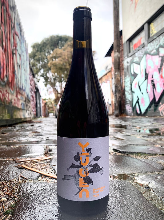 2022 Morning Pinot Noir